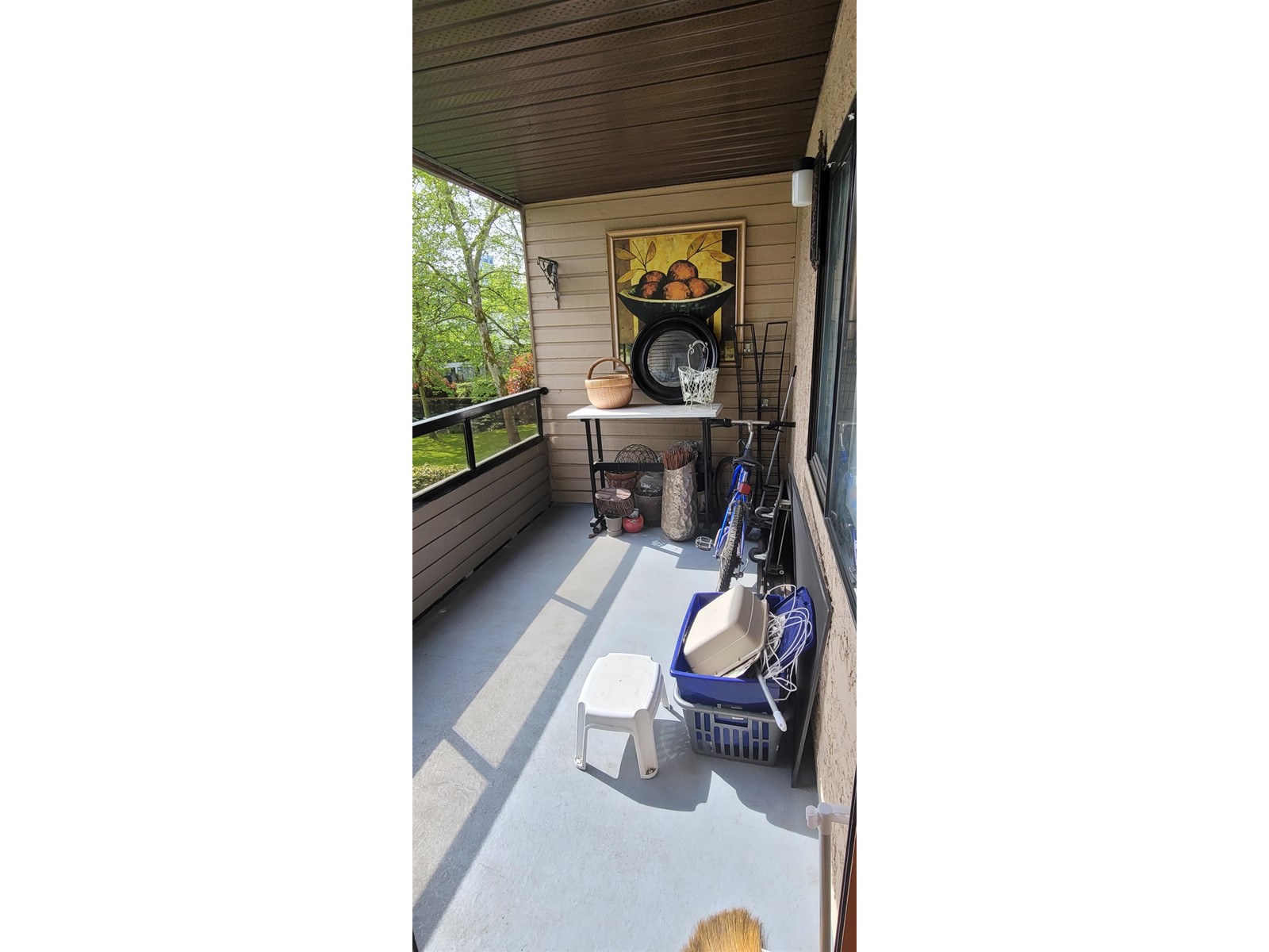218 10221 133a Street, Surrey, British Columbia  V3T 5J8 - Photo 39 - R3007363