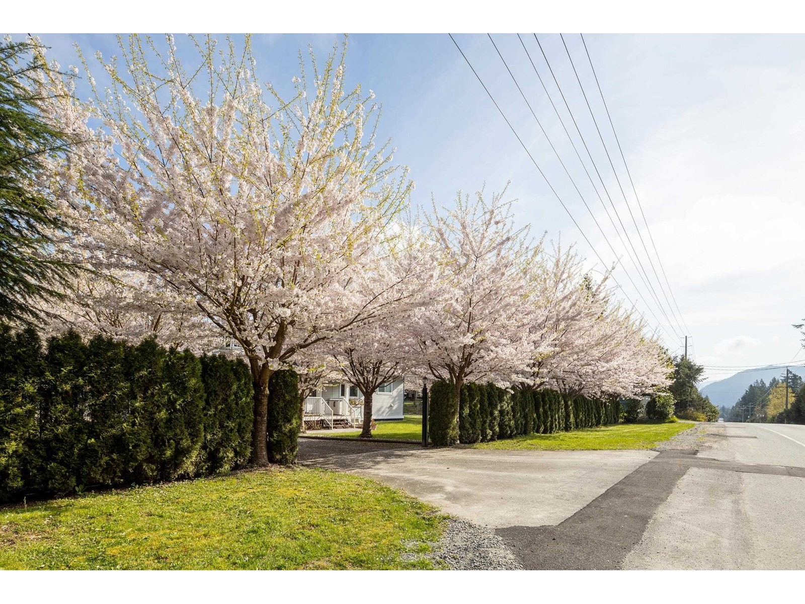 29847 Dewdney Trunk Road, Mission, British Columbia  V4S 1B7 - Photo 5 - R3007581