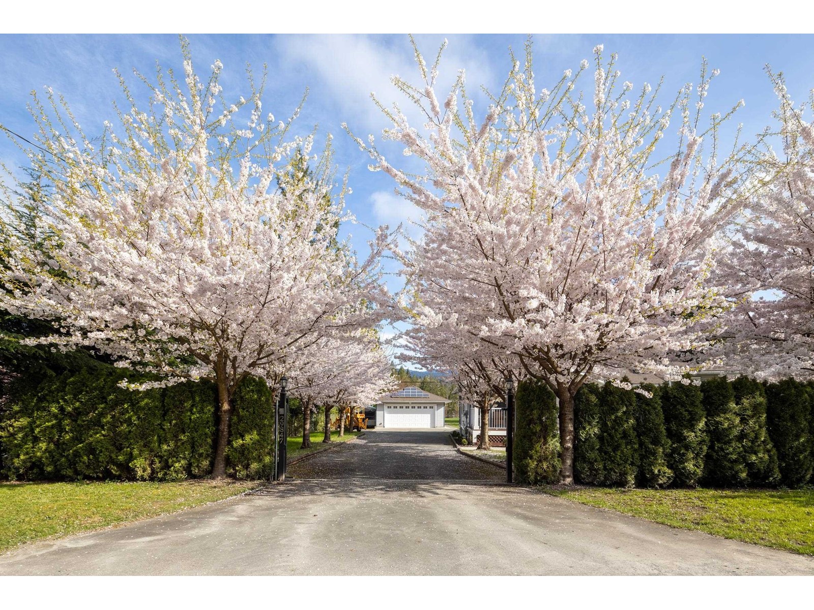 29847 Dewdney Trunk Road, Mission, British Columbia  V4S 1B7 - Photo 4 - R3007581