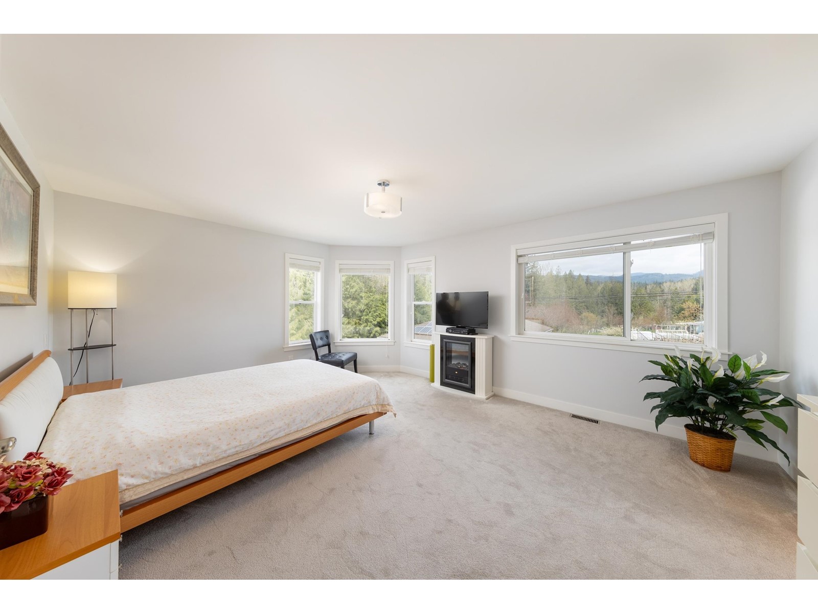 29847 Dewdney Trunk Road, Mission, British Columbia  V4S 1B7 - Photo 23 - R3007581