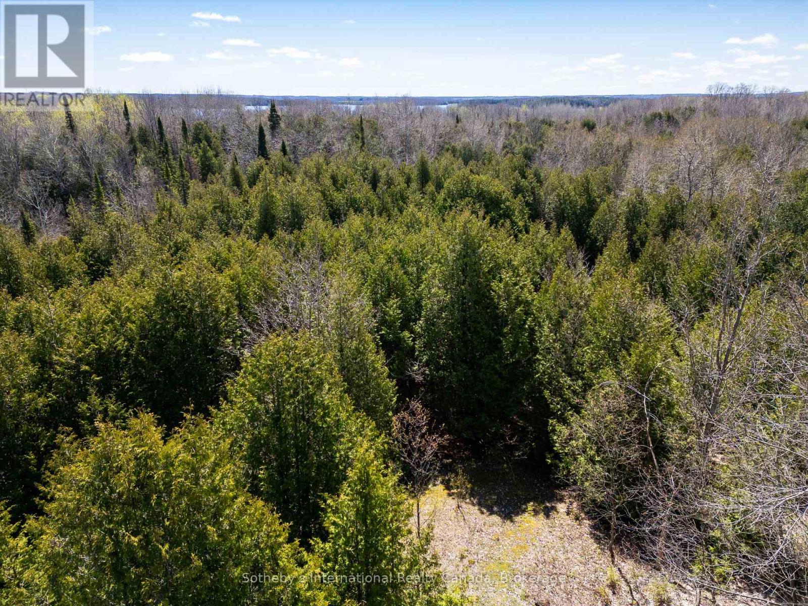 466498 12th Conc B, Grey Highlands, Ontario N0C 1E0 - Photo 33 - X12176896
