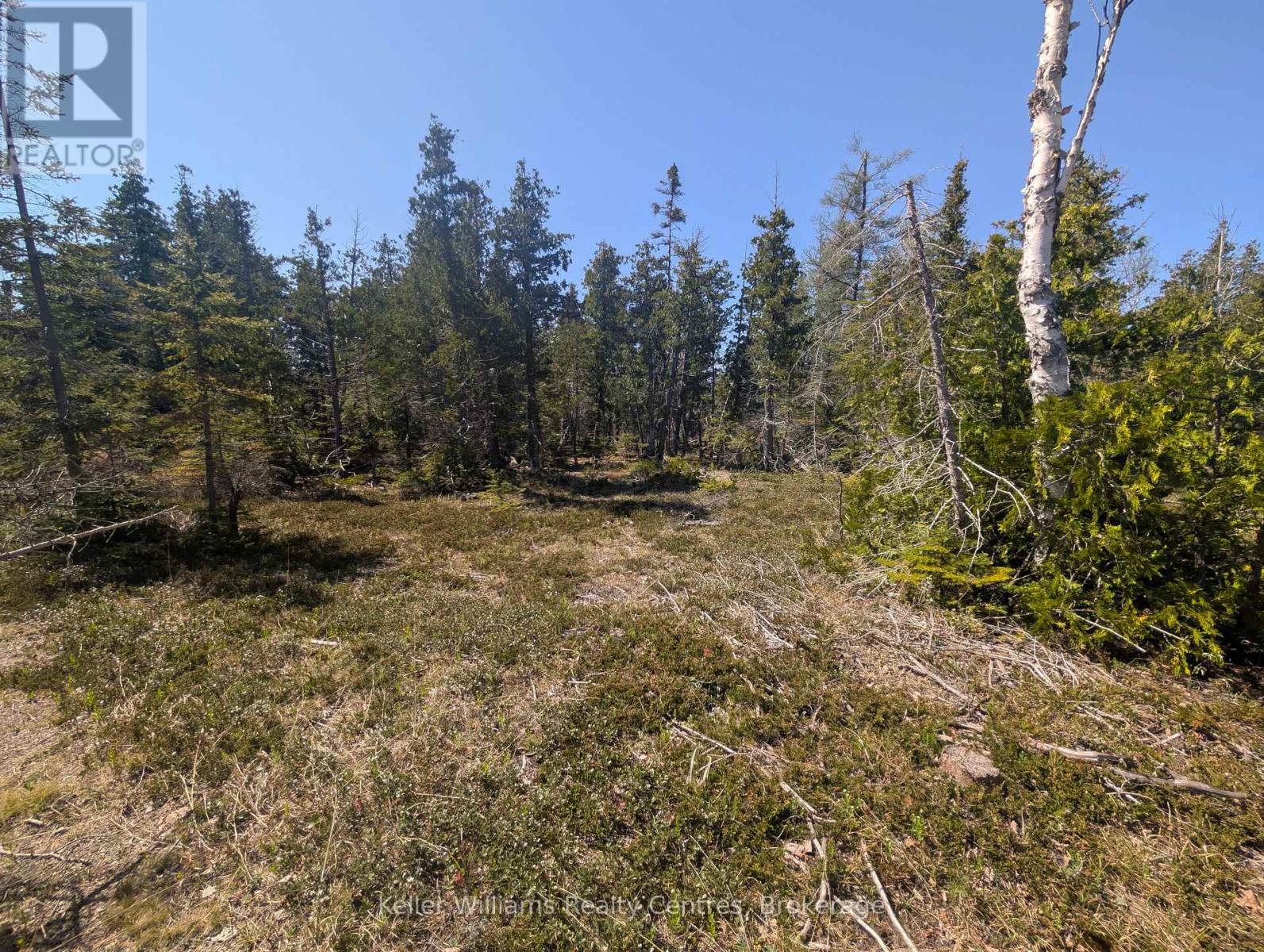Pt Lt 21 Con 7, Northern Bruce Peninsula, Ontario  N0H 1Z0 - Photo 21 - X12161730