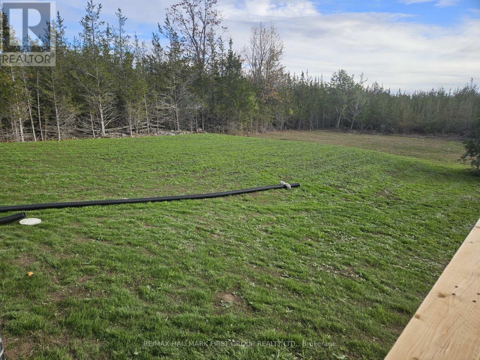 972 Enright Road, Tyendinaga, Ontario  K0K 3A0 - Photo 4 - X12177126