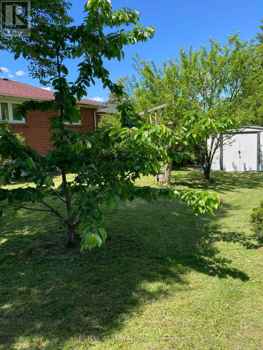 Main - 103 Dearbourne Boulevard, Brampton, Ontario  L6T 1J8 - Photo 28 - W12163843