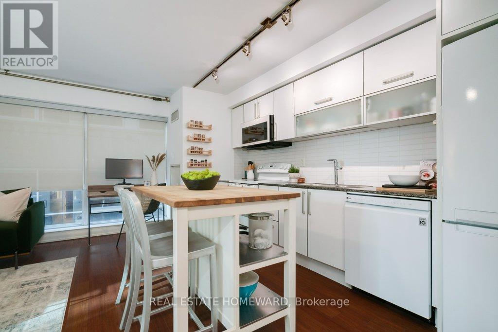 211 - 205 Frederick Street, Toronto, Ontario  M5A 4V3 - Photo 4 - C12177032