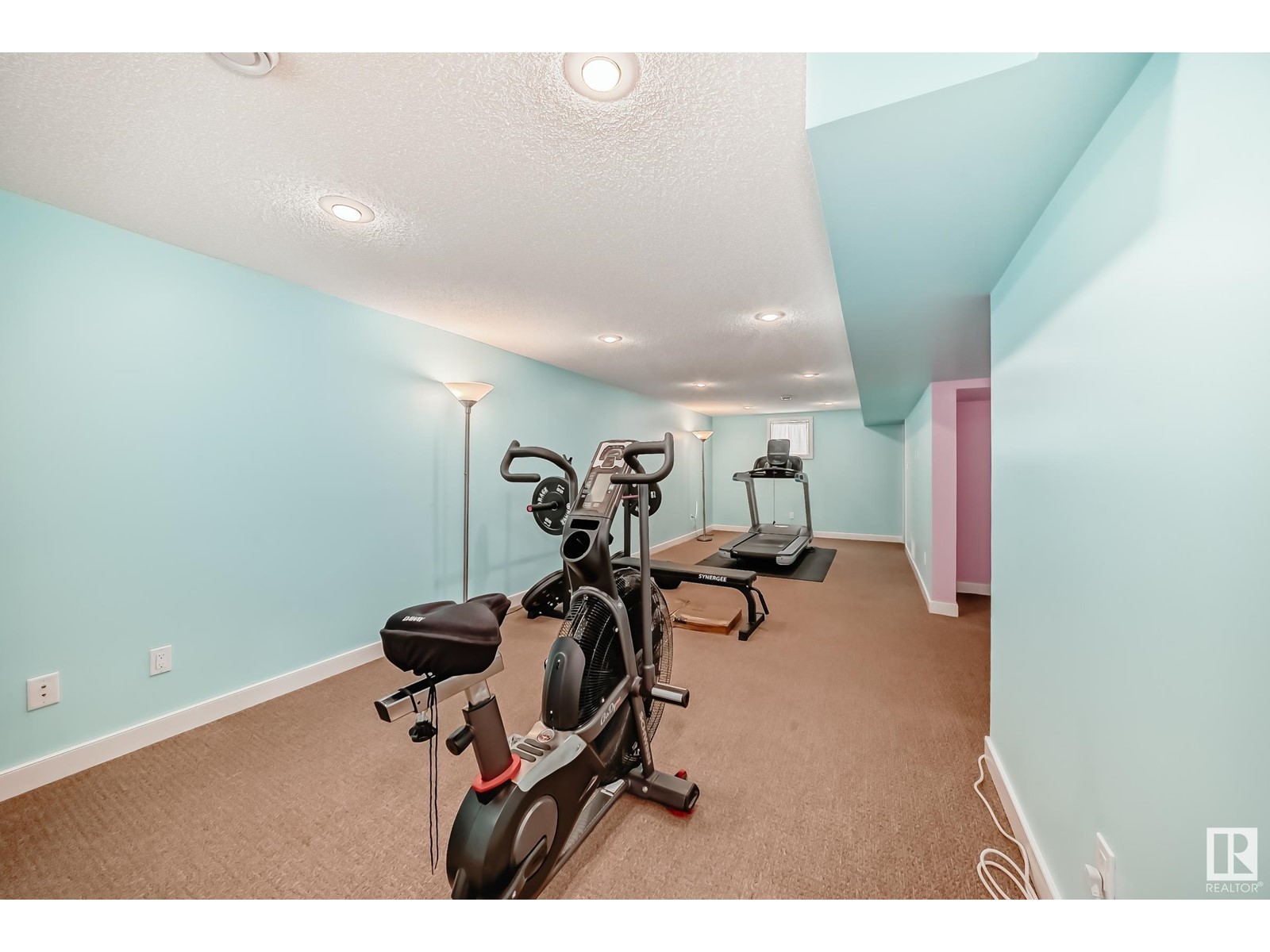 10816 139 St Nw, Edmonton, Alberta  T5M 1P7 - Photo 27 - E4438635