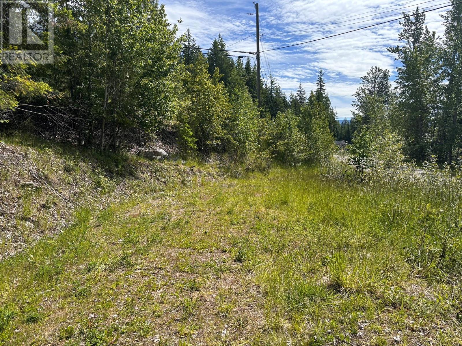 Lot 124 Fraser Road, Anglemont, BC V0E1M8