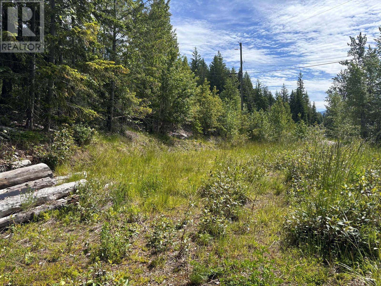 Lot 124 Fraser Road, Anglemont, BC V0E1M8