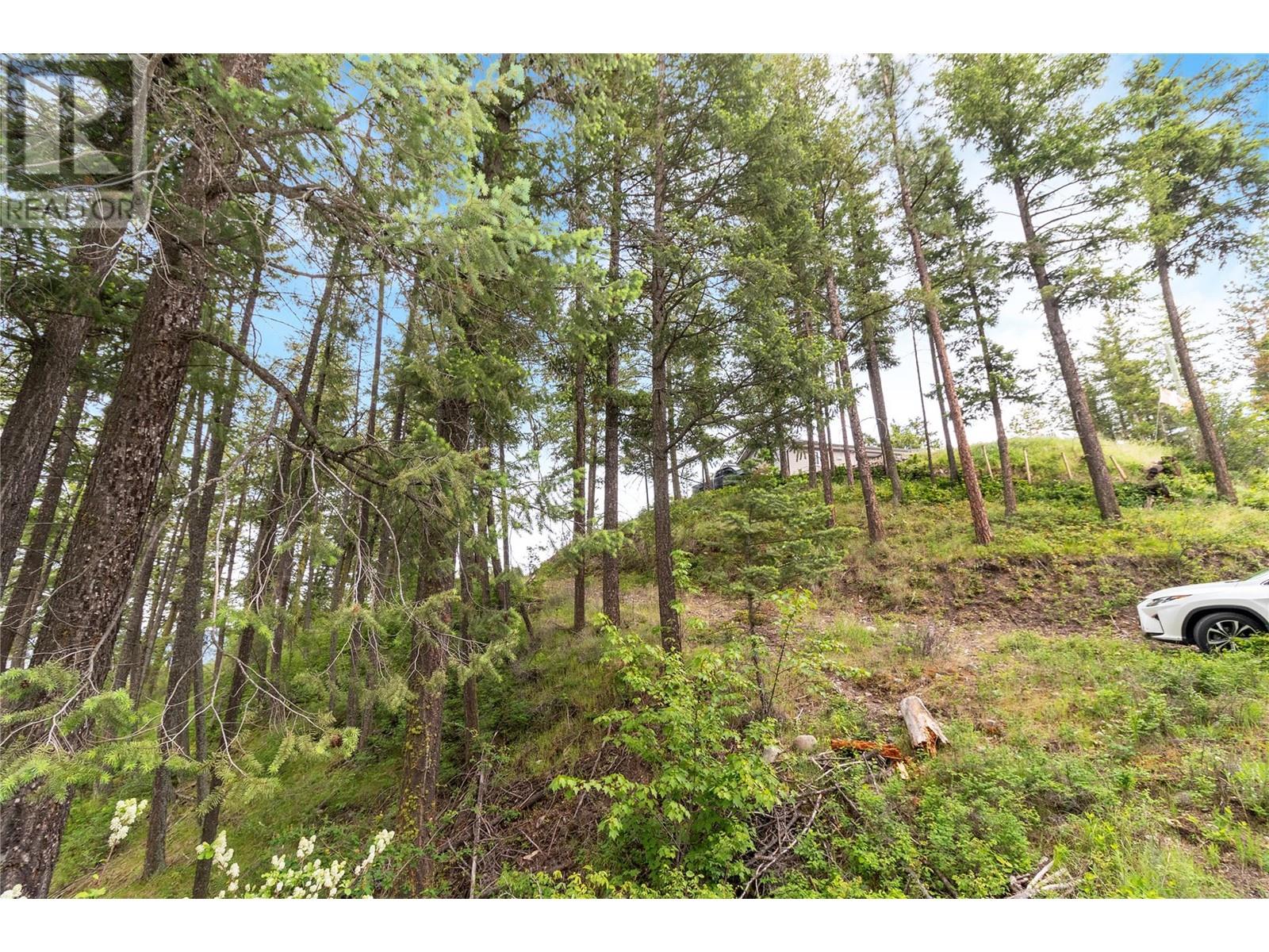 7801 Alpine Road, Fintry, British Columbia  V1Z 3V4 - Photo 9 - 10349441