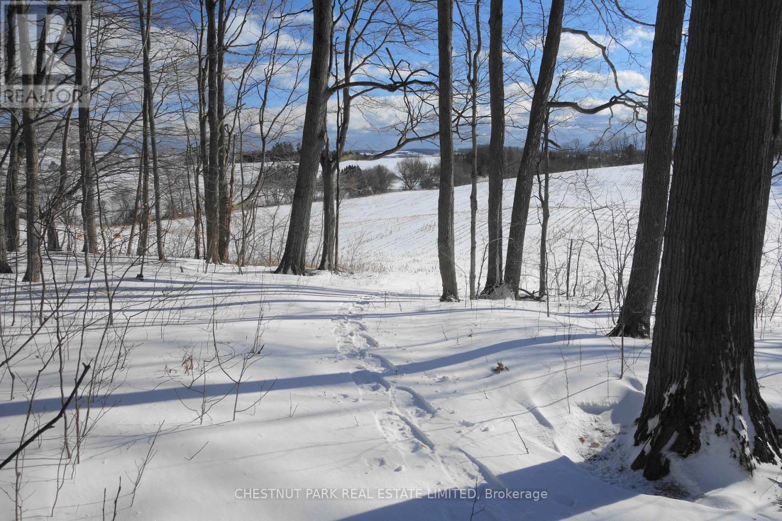000 Crossen Road, Hamilton Township, Ontario  K9A 4J9 - Photo 32 - X12177245
