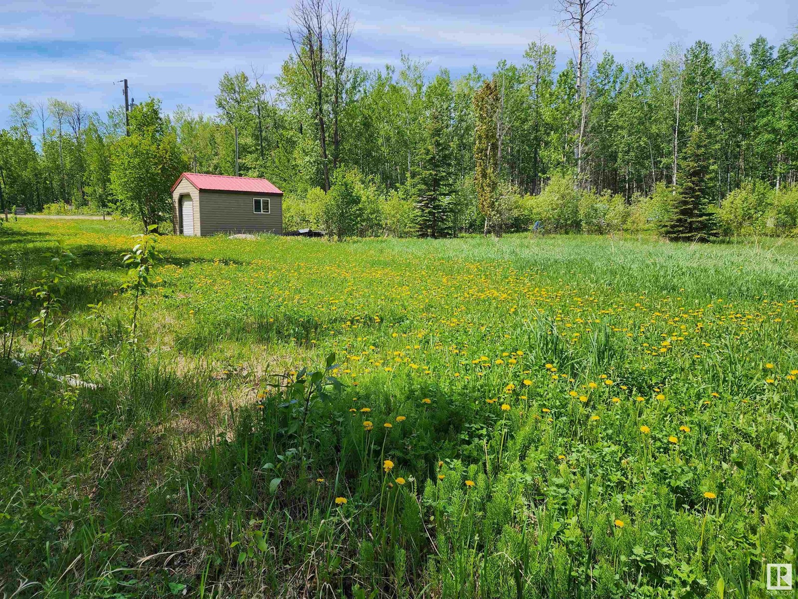 29 Village West, Rural Wetaskiwin County, Alberta  T0C 2V0 - Photo 5 - E4431399