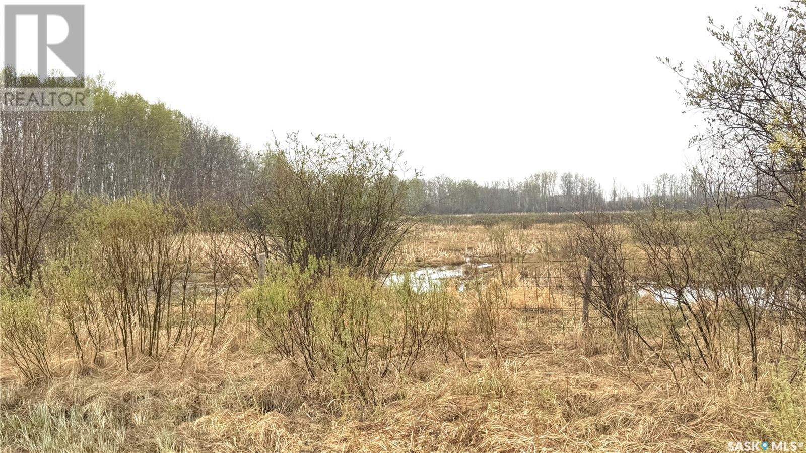 Bull Acreage, Frenchman Butte Rm No. 501, Saskatchewan  S0M 2T0 - Photo 30 - SK007328