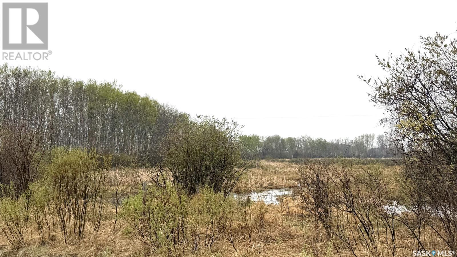 Bull Acreage, Frenchman Butte Rm No. 501, Saskatchewan  S0M 2T0 - Photo 31 - SK007328