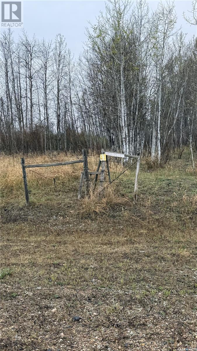Bull Acreage, Frenchman Butte Rm No. 501, Saskatchewan  S0M 2T0 - Photo 32 - SK007328