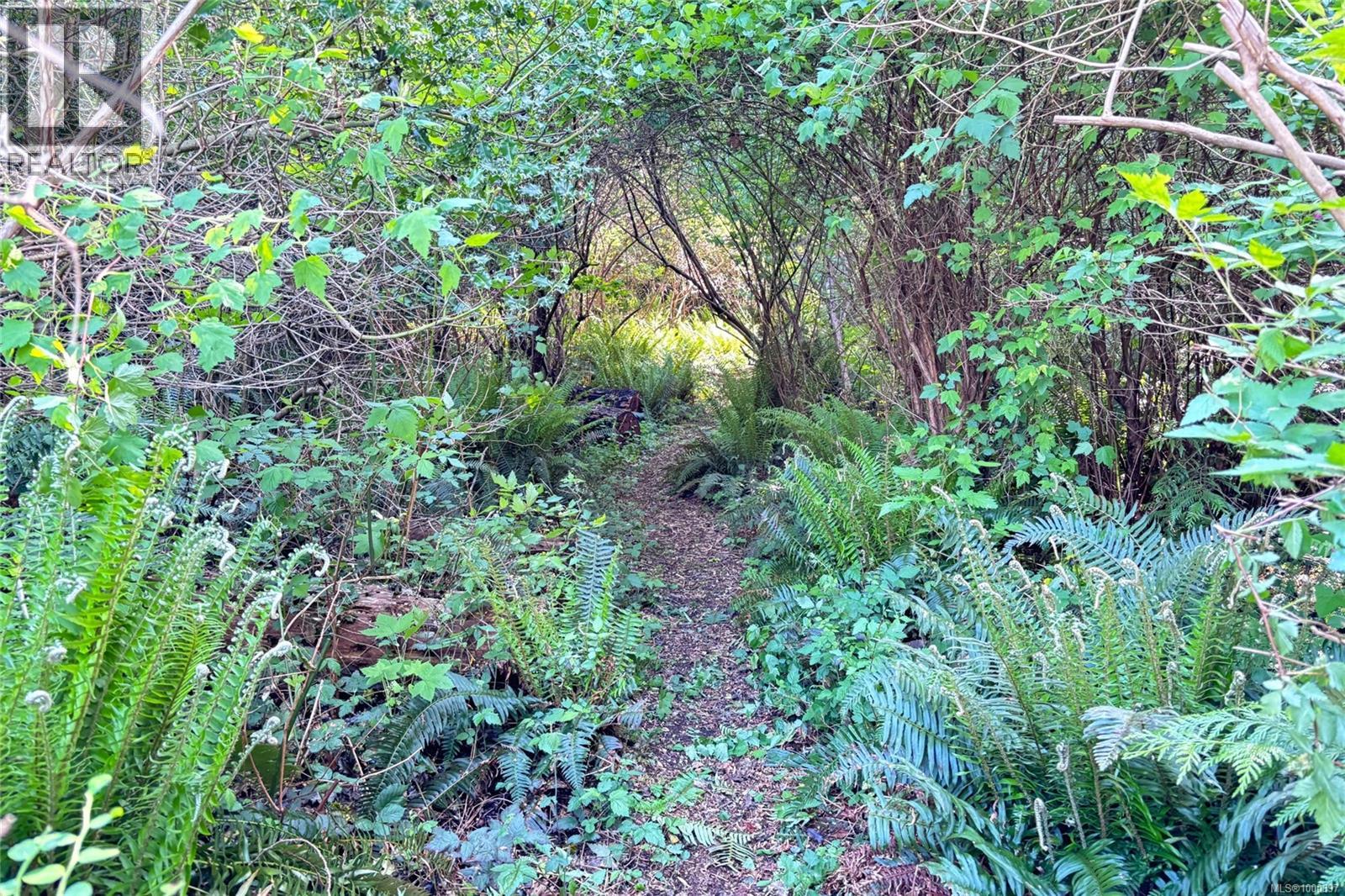 6662 Island Hwy W, Bowser, British Columbia  V0R 1G0 - Photo 22 - 1000397