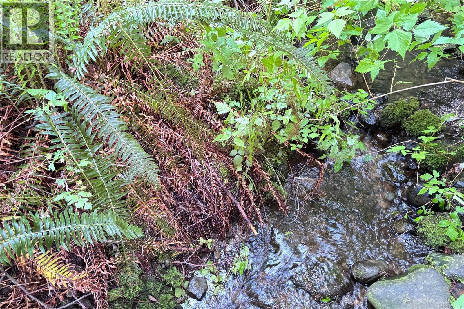 6662 Island Hwy W, Bowser, British Columbia  V0R 1G0 - Photo 3 - 1000397