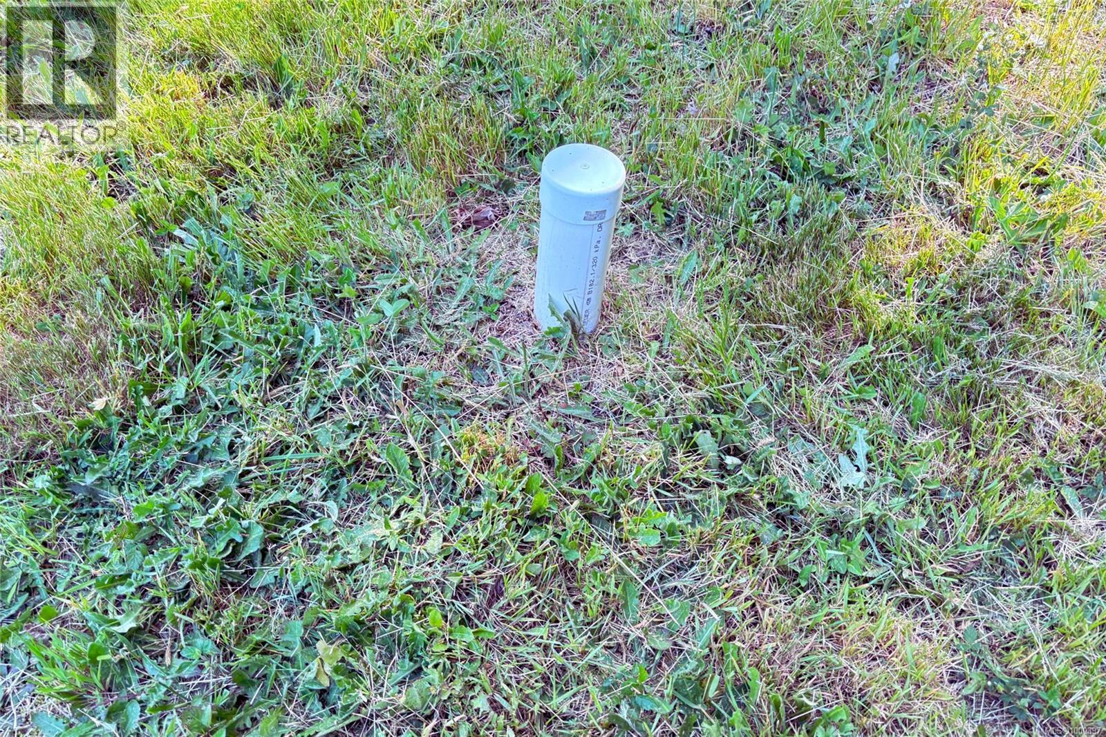 6662 Island Hwy W, Bowser, British Columbia  V0R 1G0 - Photo 20 - 1000397