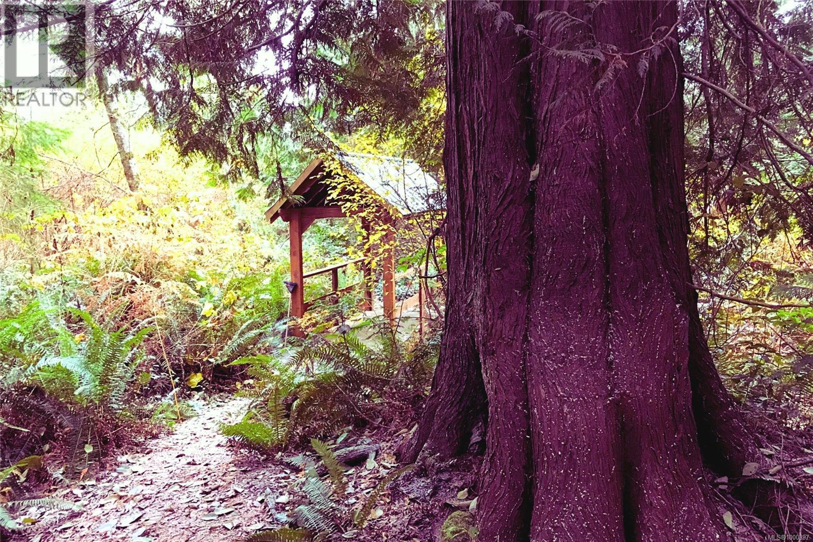 6662 Island Hwy W, Bowser, British Columbia  V0R 1G0 - Photo 23 - 1000397