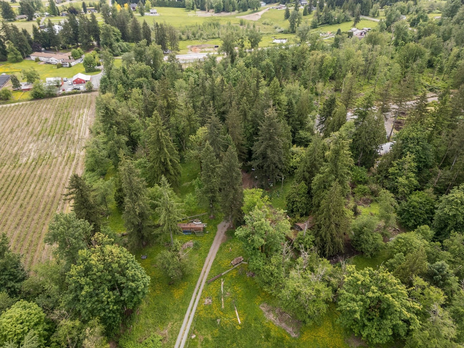 3390 210 Street, Langley, British Columbia  V2Z 2E5 - Photo 10 - R3007394