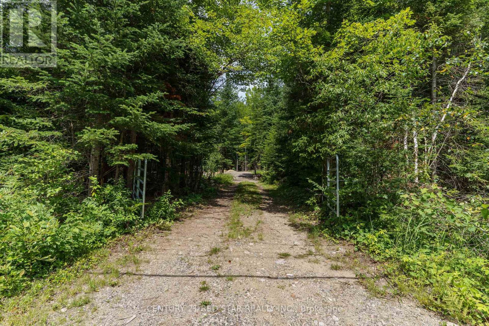 2978 Glamorgan Road, Highlands East (Glamorgan), Ontario  K0M 1S0 - Photo 14 - X12177313