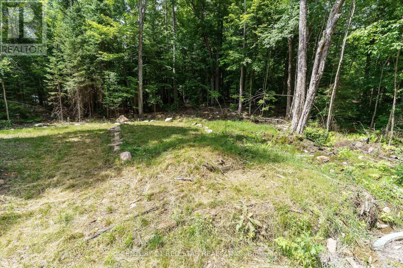 2978 Glamorgan Road, Highlands East, Ontario  K0M 1S0 - Photo 6 - X12177313
