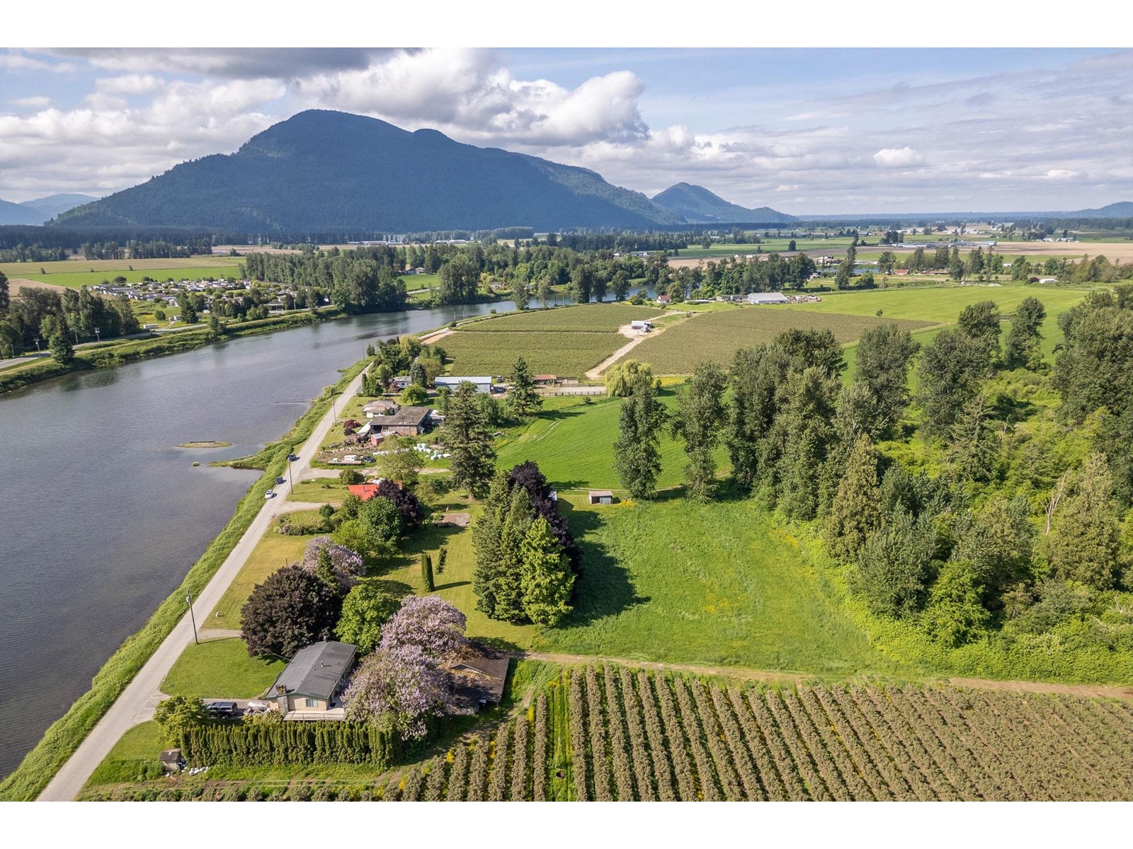 41291 Taylor Road, Mission, British Columbia  V0M 1G0 - Photo 7 - R3007523