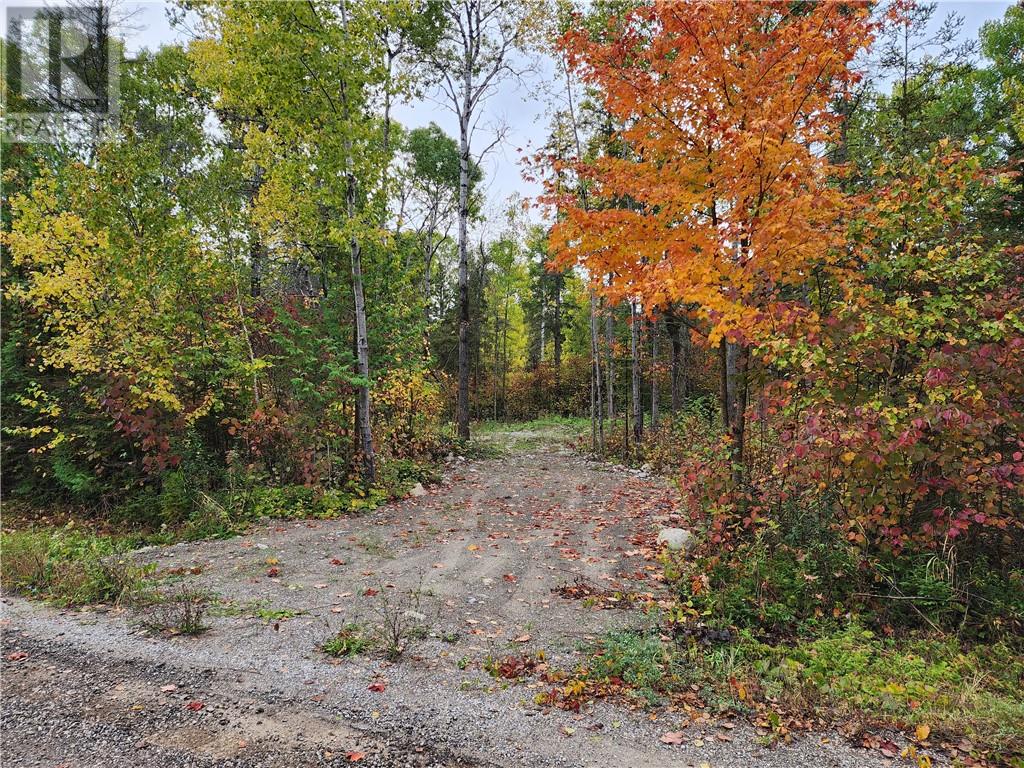 14 Birch St, Manitowaning, Ontario  P0P 1N0 - Photo 12 - 2113802