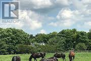 774 Kitley Line 2 Road, Elizabethtown-Kitley, Ontario  K0G 1G0 - Photo 45 - X12153525