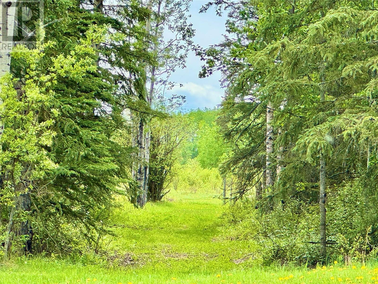 455 204 Road, Pouce Coupe, British Columbia  V0C 2C0 - Photo 29 - 10349655