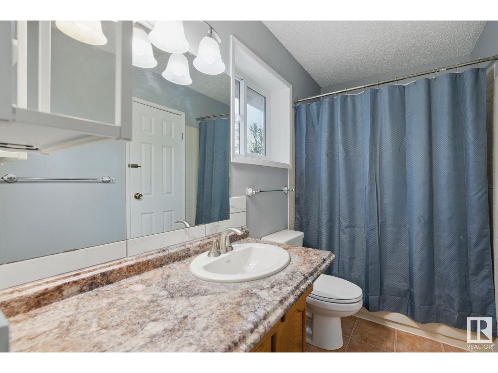 10104a 28a Av Nw, Edmonton, Alberta  T6J 4J6 - Photo 14 - E4438805