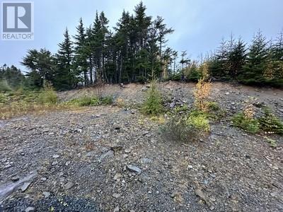 14 North Ridge Sub-Division, Blaketown, Newfoundland & Labrador  A0B 1C0 - Photo 4 - 1285420