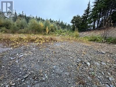 14 North Ridge Sub-Division, Blaketown, Newfoundland & Labrador  A0B 1C0 - Photo 5 - 1285420
