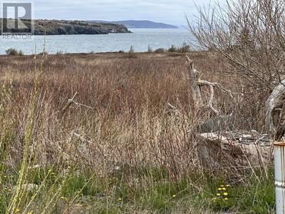 24 Southside Road, Western Bay, Newfoundland & Labrador  A0A 4J0 - Photo 8 - 1285561