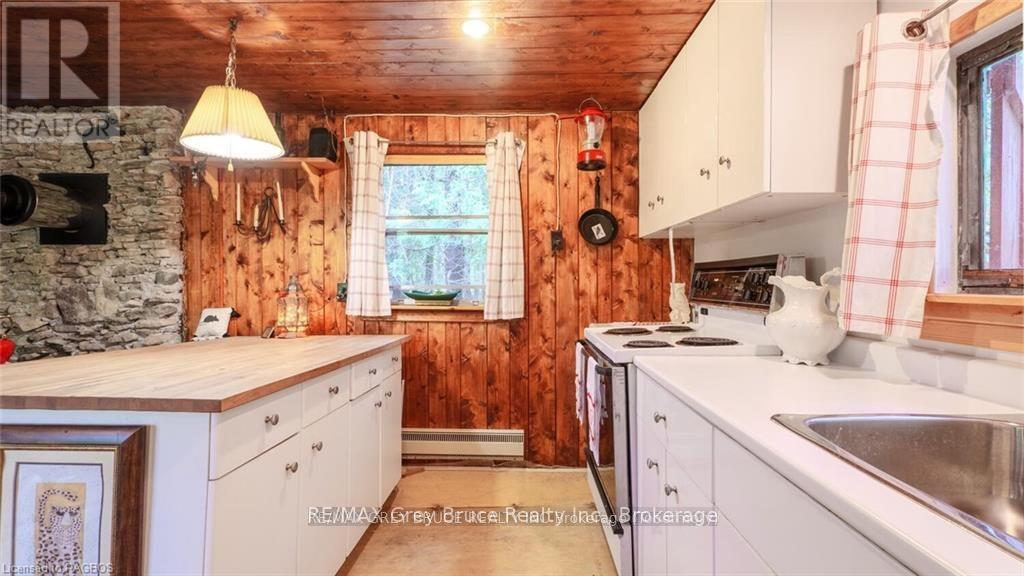 25 Pine Tree Harbour Road, Northern Bruce Peninsula, Ontario  N0H 1Z0 - Photo 12 - X12177730