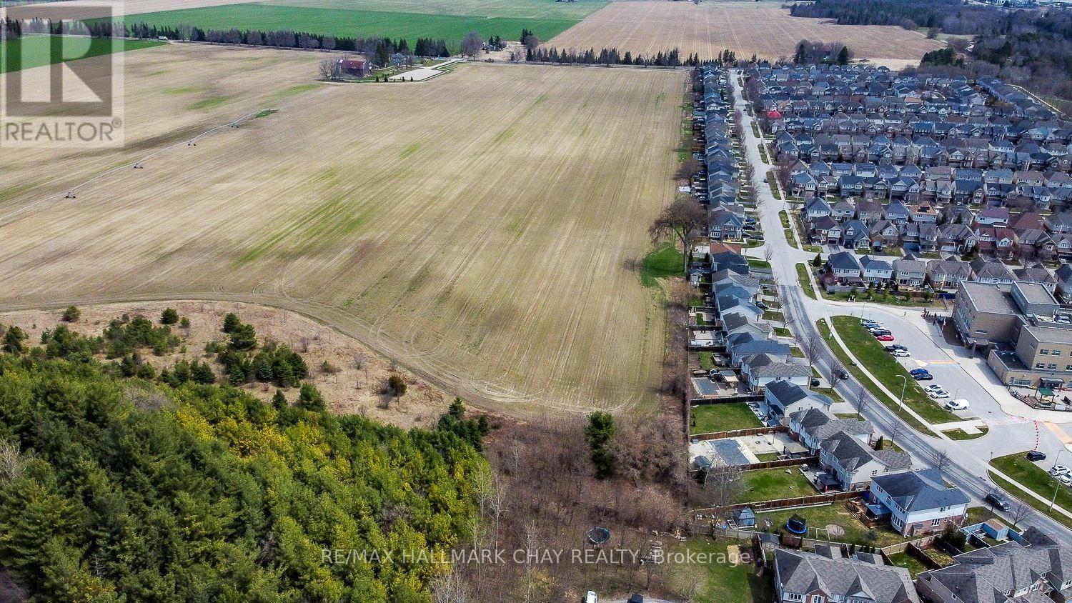 38 Steele Street, New Tecumseth, Ontario  L9R 0E6 - Photo 44 - N12177760