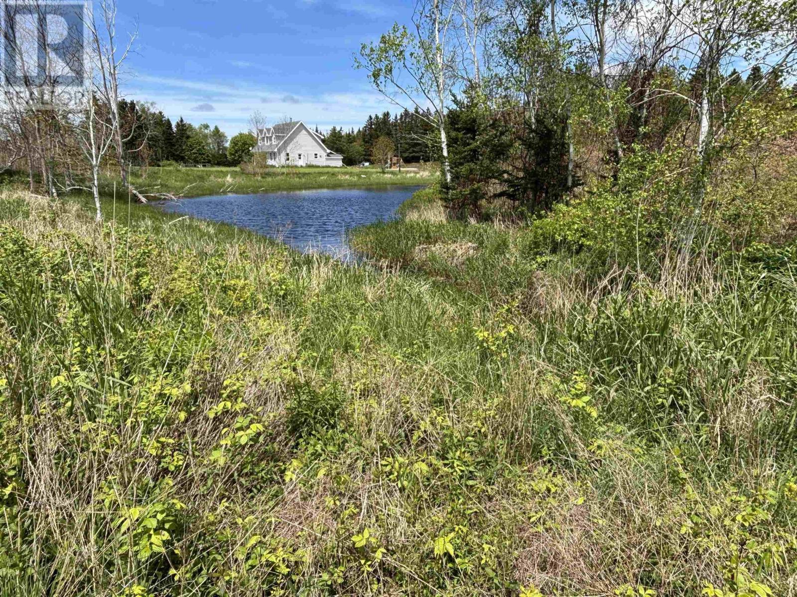 145 North Range Cross Road, Barton, Nova Scotia  B0W 1H0 - Photo 3 - 202512516