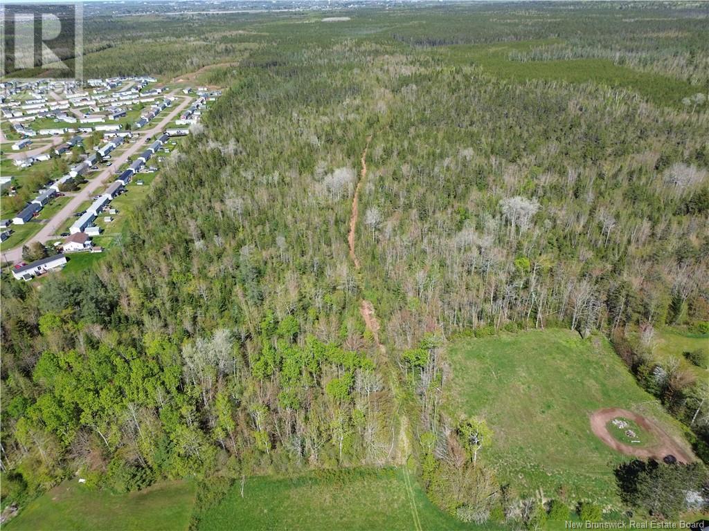 Lot Pine Glen Road, Pine Glen, New Brunswick  E1J 1R8 - Photo 8 - NB119475
