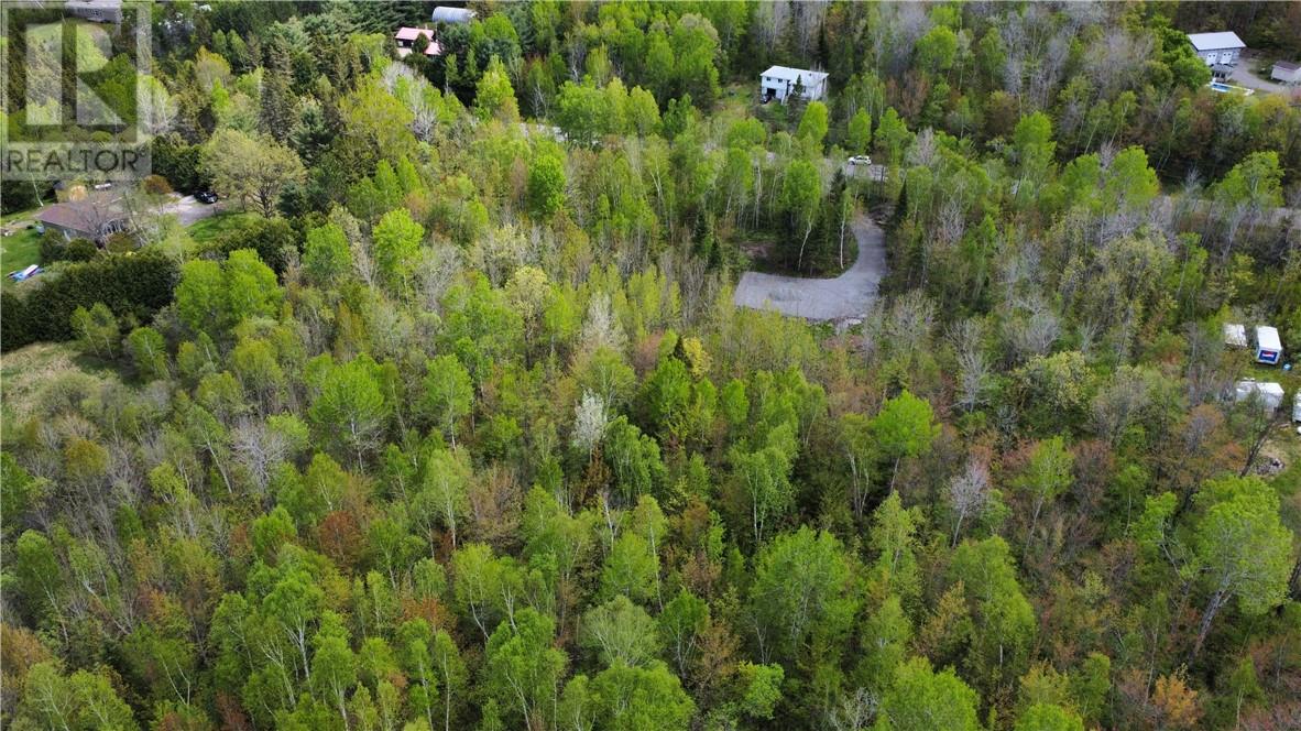 1748 Nepewassi Lake Road, Estaire, Ontario  P3E 4N1 - Photo 3 - 2122510