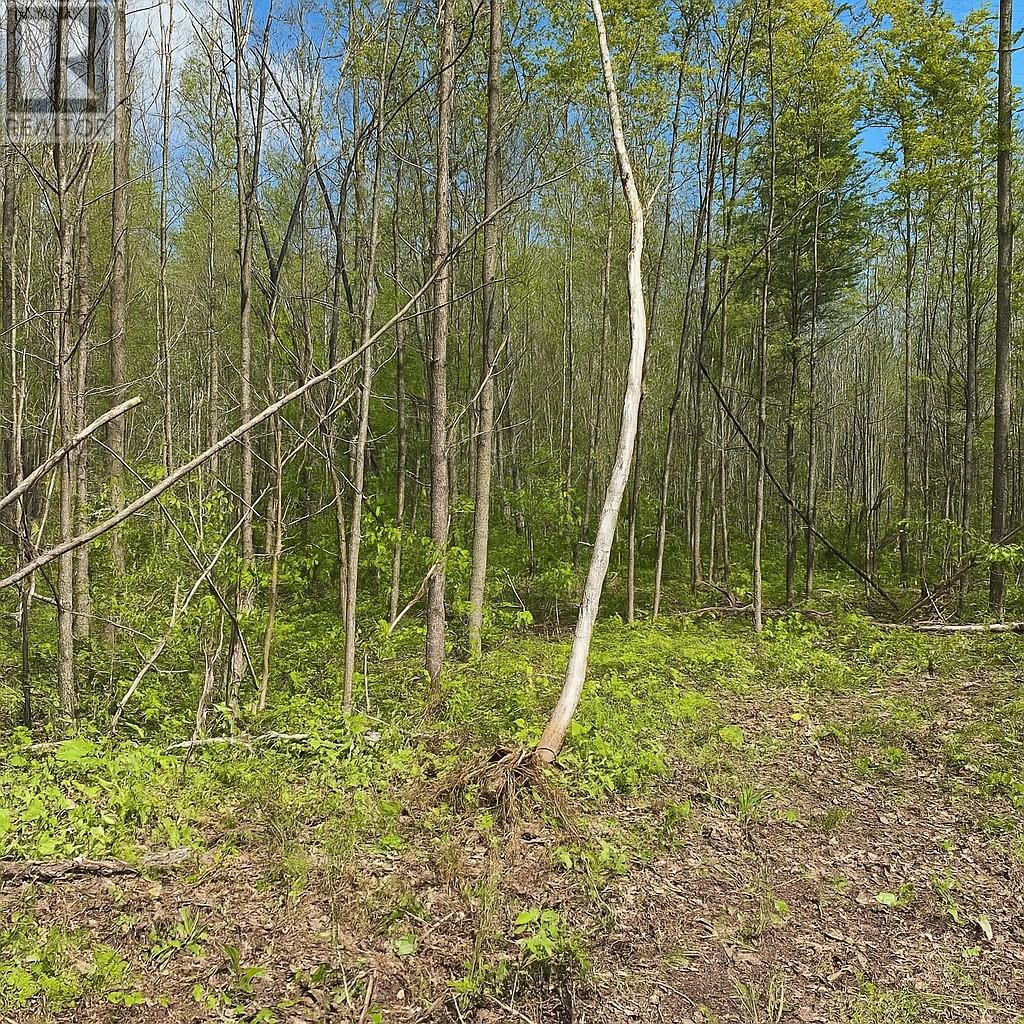1748 Nepewassi Lake Road, Estaire, Ontario  P3E 4N1 - Photo 8 - 2122510