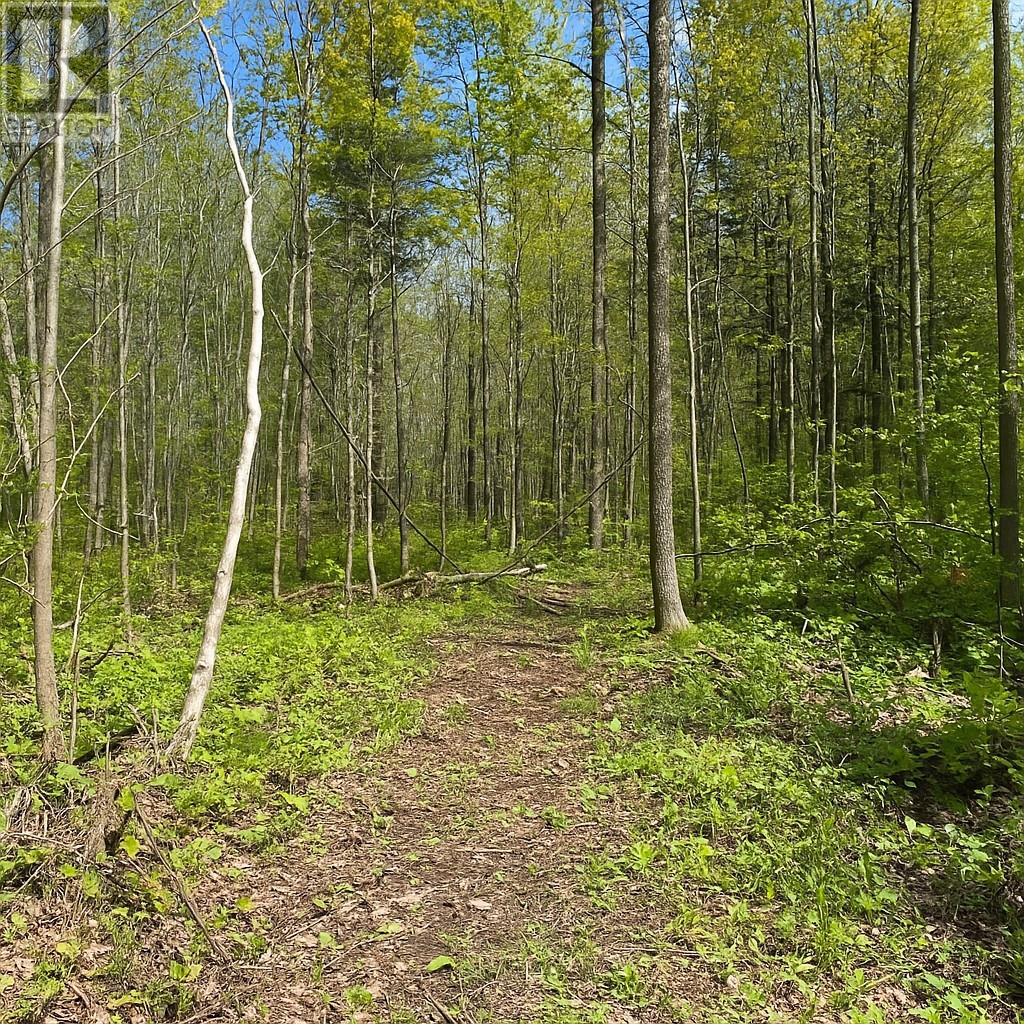1748 Nepewassi Lake Road, Estaire, Ontario  P3E 4N1 - Photo 9 - 2122510