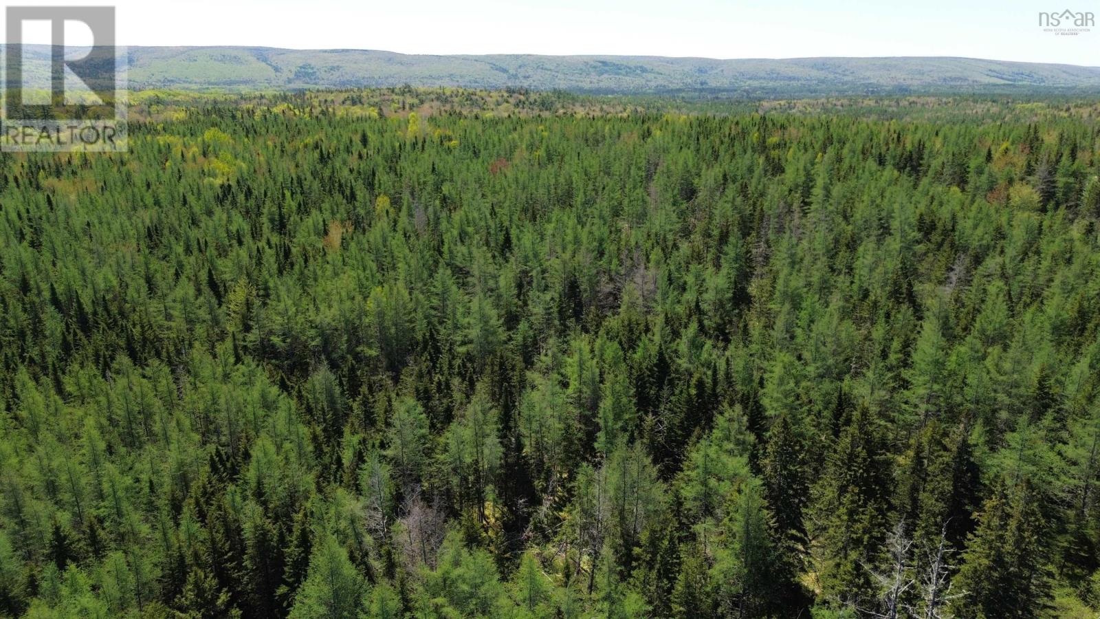 Lot 17 Ashfield Road, River Denys, Nova Scotia  B0E 2Y0 - Photo 2 - 202501680