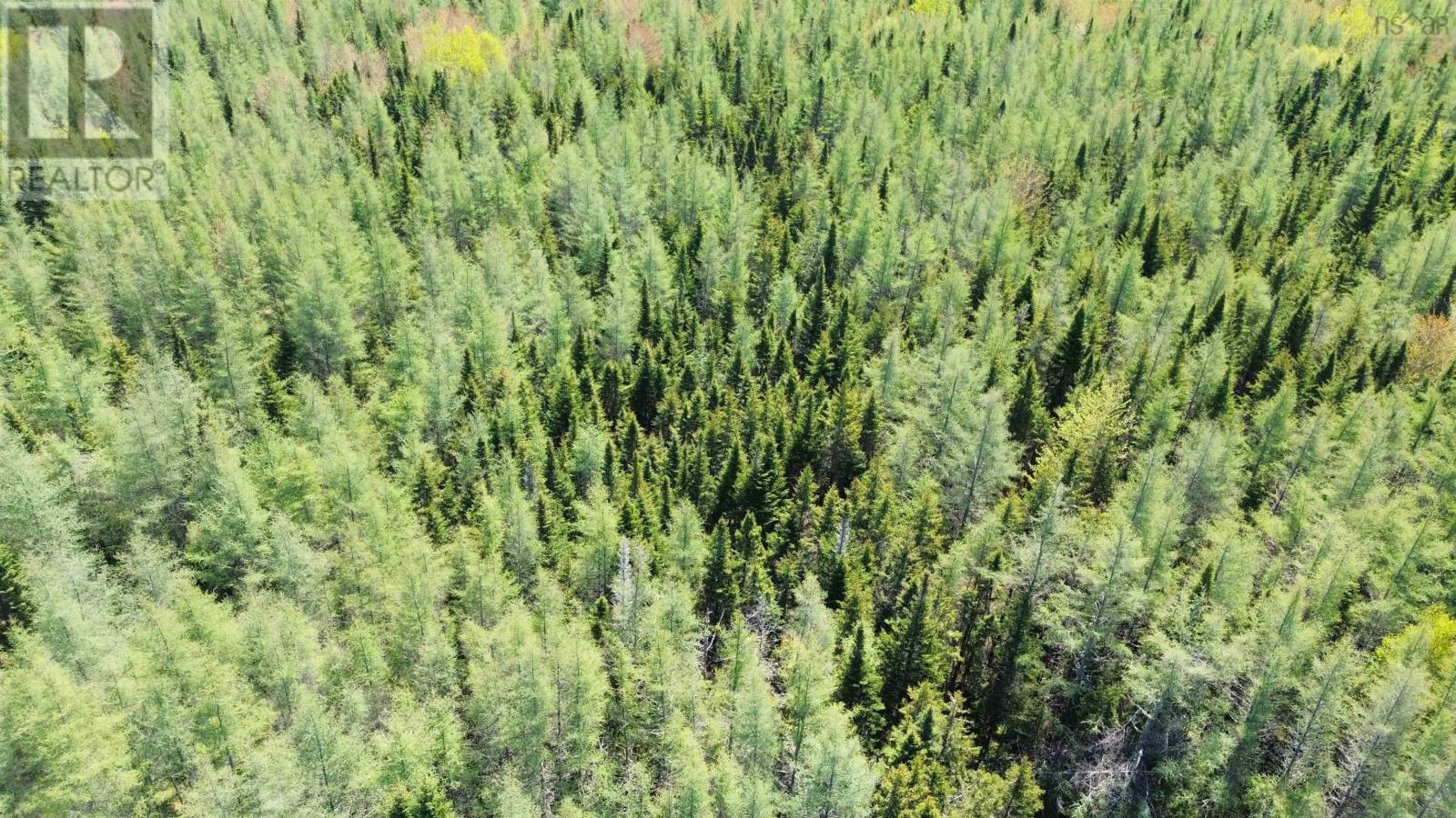 Lot 17 Ashfield Road, River Denys, Nova Scotia  B0E 2Y0 - Photo 4 - 202501680