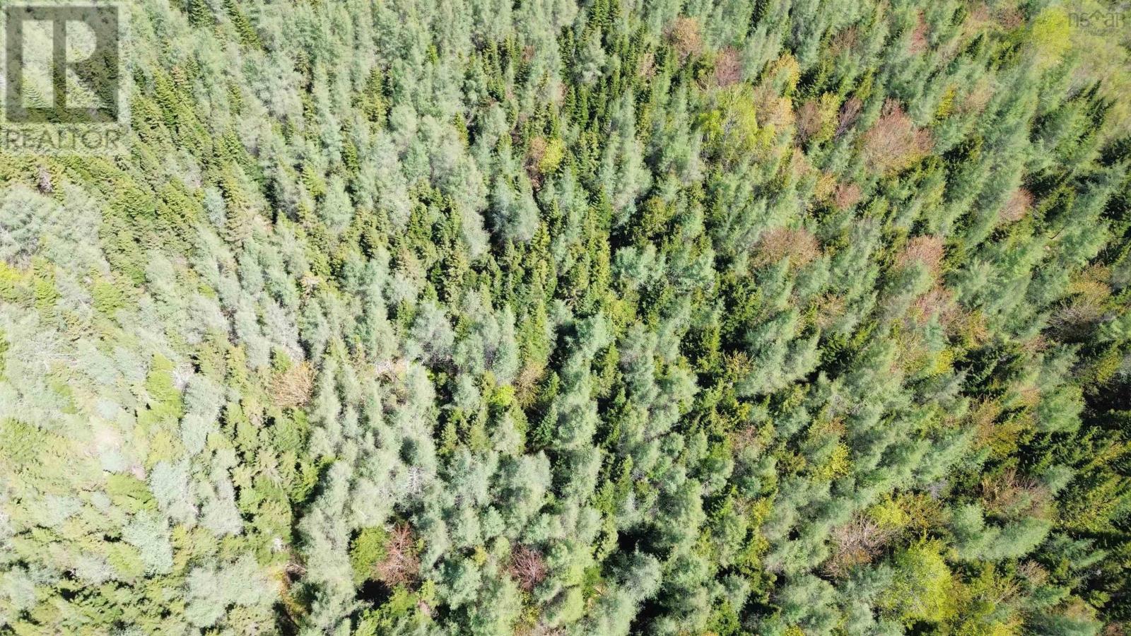 Lot 17 Ashfield Road, River Denys, Nova Scotia  B0E 2Y0 - Photo 8 - 202501680