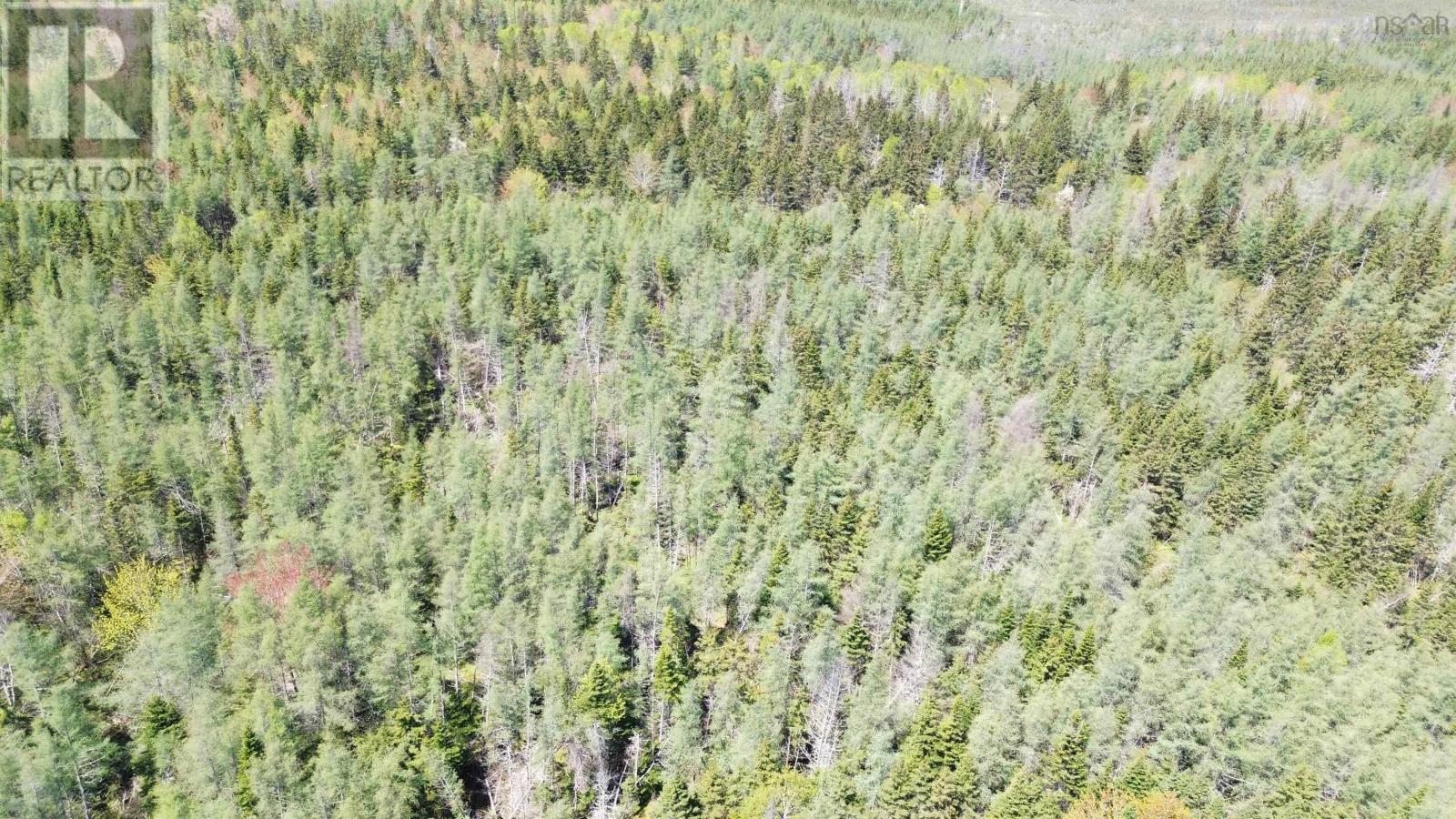 Lot 17 Ashfield Road, River Denys, Nova Scotia  B0E 2Y0 - Photo 6 - 202501680