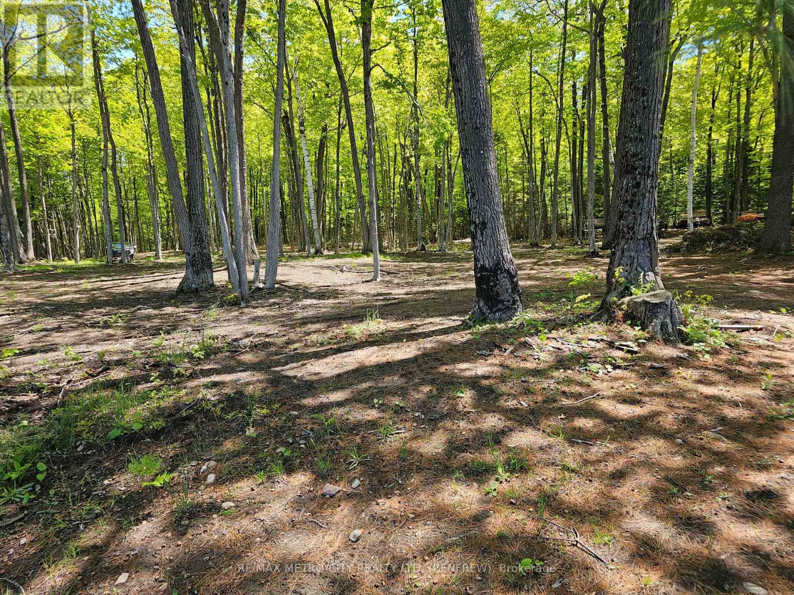 2193 Parcel B Chapeski Lane, Horton, Ontario  K7V 3Z8 - Photo 4 - X12177827