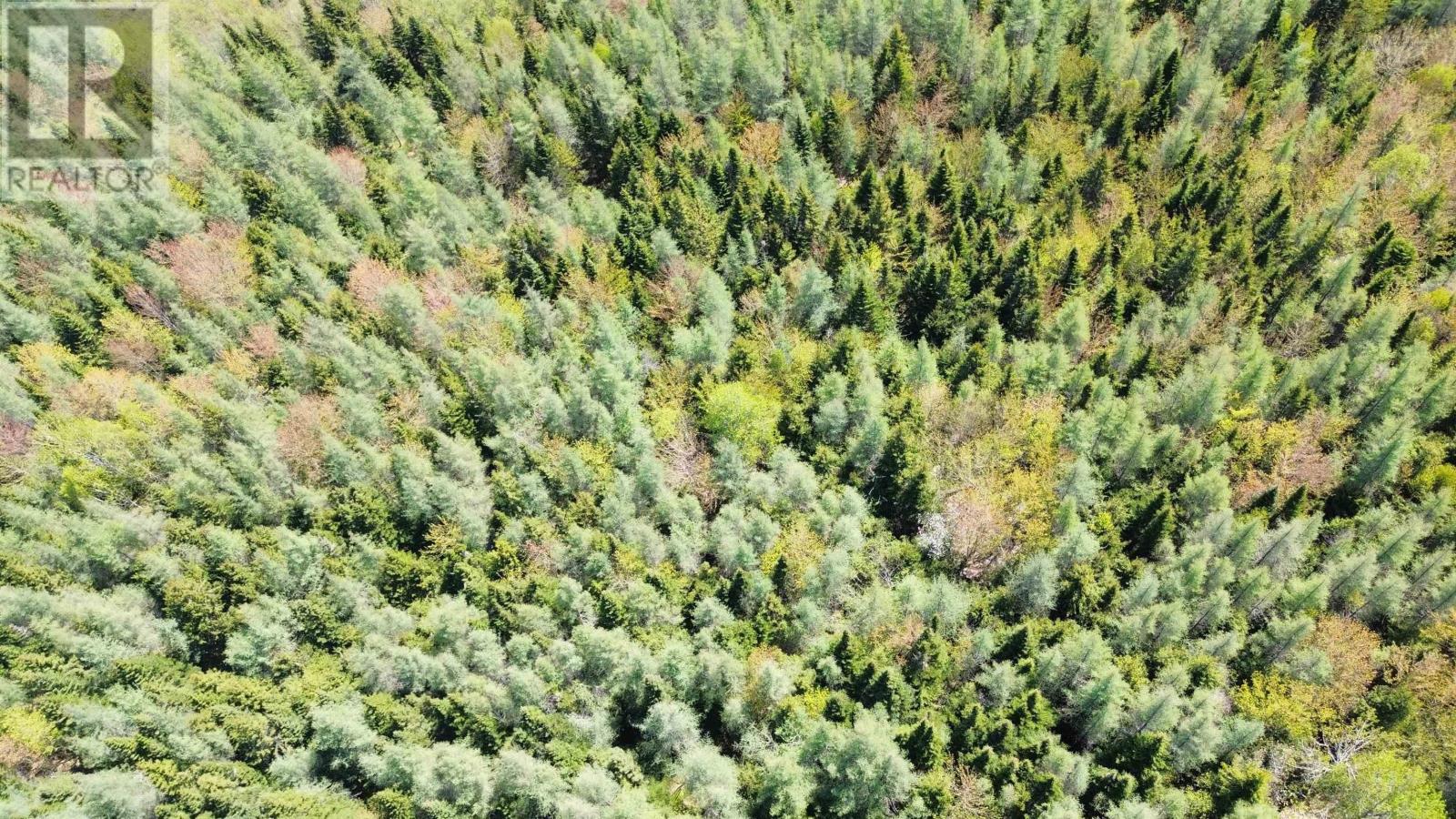 Lot 21d Ashfield Road, River Denys, Nova Scotia  B0E 2Y0 - Photo 7 - 202501687