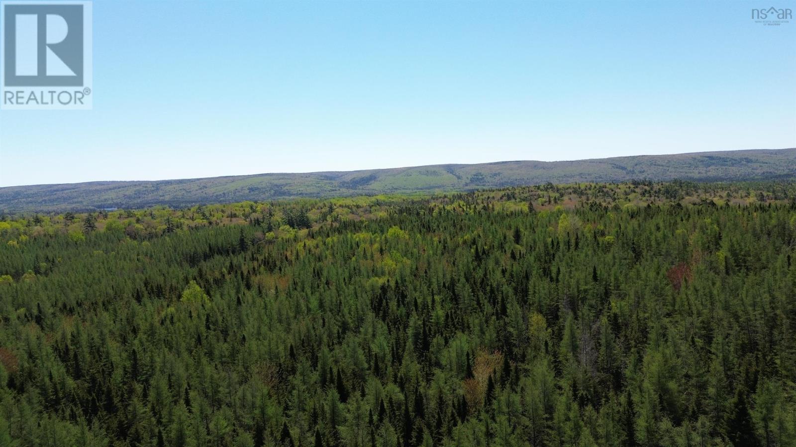 Lot 21d Ashfield Road, River Denys, Nova Scotia  B0E 2Y0 - Photo 5 - 202501687