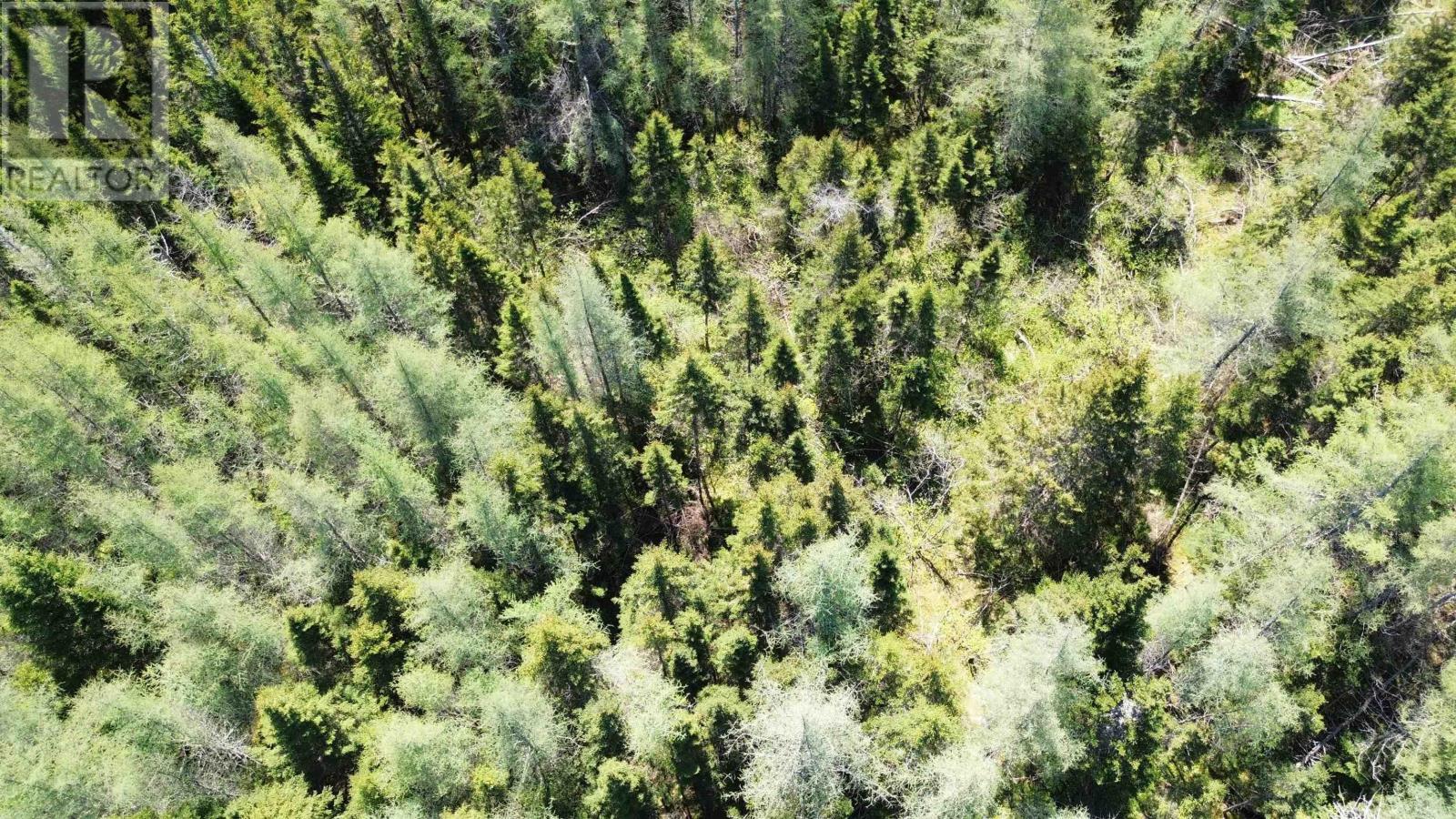 Lot 21d Ashfield Road, River Denys, Nova Scotia  B0E 2Y0 - Photo 3 - 202501687