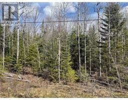 Route 865, Norton, New Brunswick