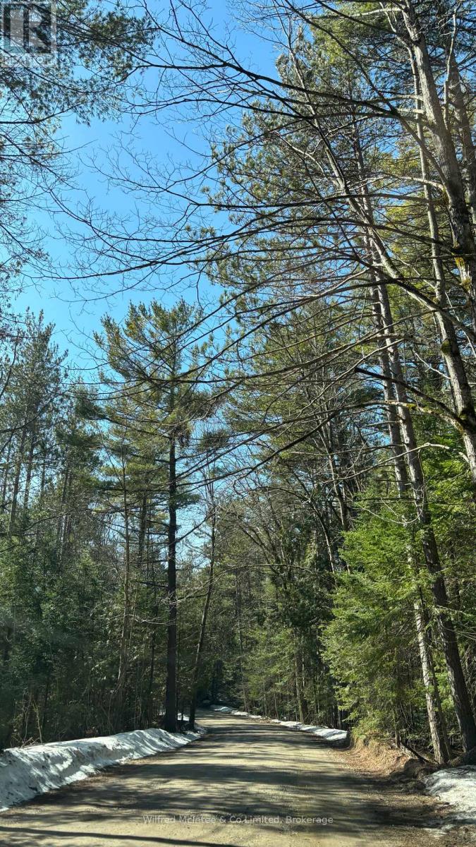 270 Ogimah Road, Native Leased Lands, Ontario  N0H 2G0 - Photo 37 - X12036630